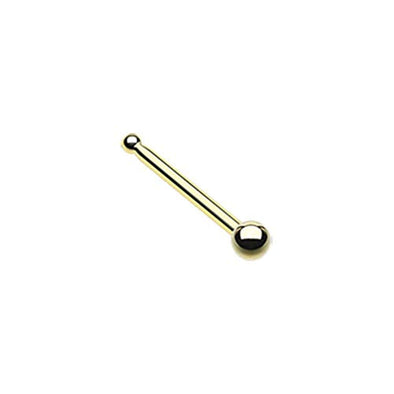 Gold PVD Ball Top Basic WildKlass Nose Stud Ring-WildKlass Jewelry