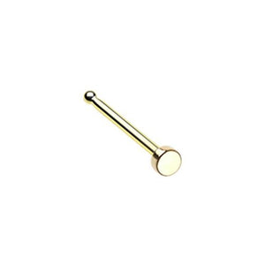 Golden Round Plate Basic Steel WildKlass Nose Stud Ring-WildKlass Jewelry