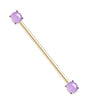 Round Amethyst Stone Prong Set Ends 316L Surgical Steel WildKlass Industrial Barbells-WildKlass Jewelry