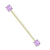 Round Amethyst Stone Prong Set Ends 316L Surgical Steel WildKlass Industrial Barbells-WildKlass Jewelry