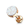 Druzy Stone Flat Set Top Rose Gold PVD Over 316L Surgical Steel WildKlass Ear Cartilage Barbell Stud Rings-WildKlass Jewelry