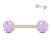 WildKlass Druzy Stone Set Ends Rose Gold PVD Over 316L Surgical Steel Barbell Nipple Rings-WildKlass Jewelry