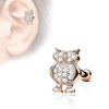 WildKlass CZ Paved Owl Top 316L Surgical Steel Ear Cartilage Barbell Studs-WildKlass Jewelry