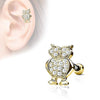 WildKlass CZ Paved Owl Top 316L Surgical Steel Ear Cartilage Barbell Studs-WildKlass Jewelry