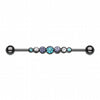 Blackline PVD Dazzling Gem Row Industrial Barbell-WildKlass Jewelry