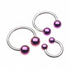 Colorline PVD Ball Ends Steel Horseshoe Circular Barbell-WildKlass Jewelry