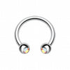 Gem Ball Steel Horseshoe Circular Barbell-WildKlass Jewelry