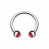 Gem Ball Steel Horseshoe Circular Barbell-WildKlass Jewelry