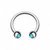 Gem Ball Steel Horseshoe Circular Barbell-WildKlass Jewelry