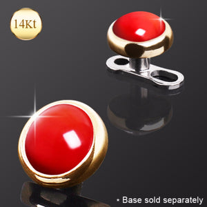 14Kt Yellow Gold Round Dermal Top with Red Coral-WildKlass Jewelry