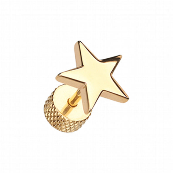 Golden Nova Star Steel Fake Plug-WildKlass Jewelry