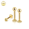 14Kt Yellow Gold Labret with Ball-WildKlass Jewelry
