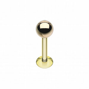 Gold Plated Basic Steel Labret-WildKlass Jewelry