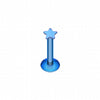 Colorline PVD Star Top Internally Threaded Labret-WildKlass Jewelry