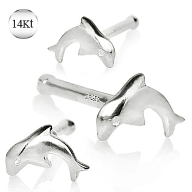 14Kt White Gold Stud Nose Ring with a Dolphin-WildKlass Jewelry