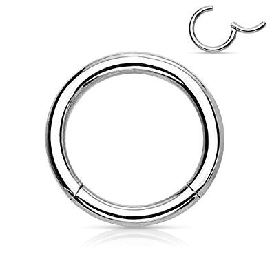 Pair of 316L Surgical Steel Hinged Segment WildKlass Rings-WildKlass Jewelry