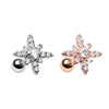 Rose Gold & Silver Dainty Twinkle Star Cartilage Tragus Earring-WildKlass Jewelry